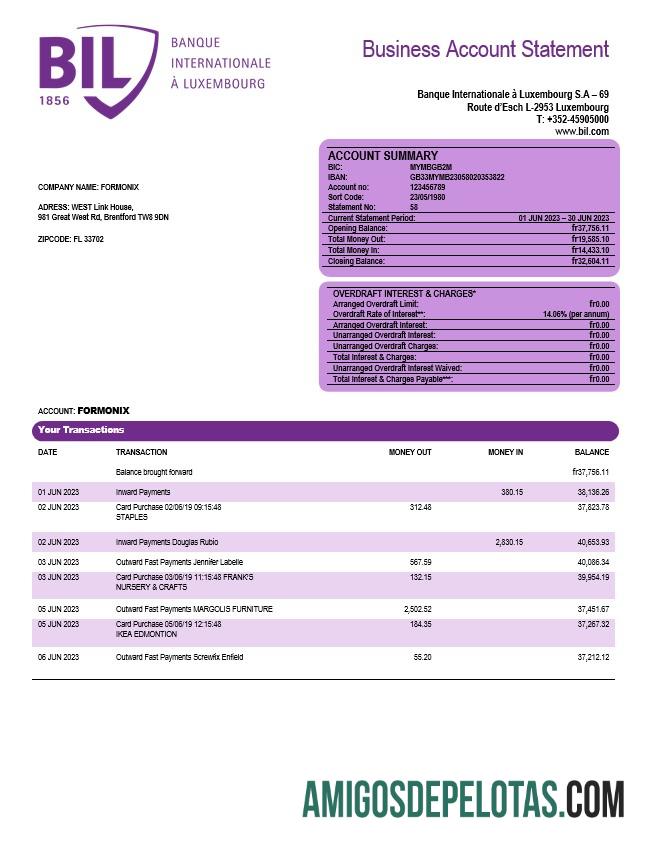 Imprimível Banque Internationale A Luxembourg Organization Checking modelo de extrato de conta Word e PDF